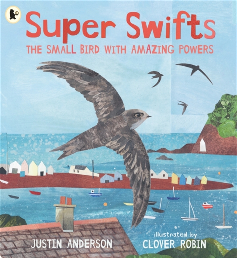 Super Swifts: The Small Bird With Amazing Powers/Product Detail/Early Childhood Fiction Books