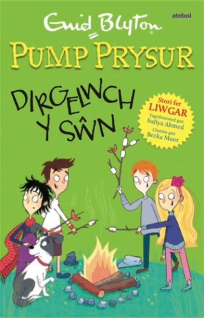 Pump Prysur: Dirgelwch Y Swn/Product Detail/Childrens Fiction Books