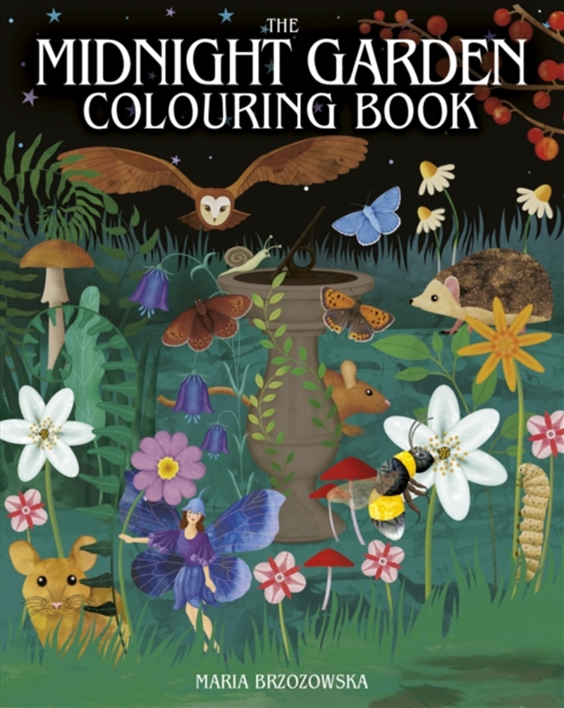 The Midnight Garden Colouring Book : Over 45 Enchanting Images/Product Detail/Adults Colouring