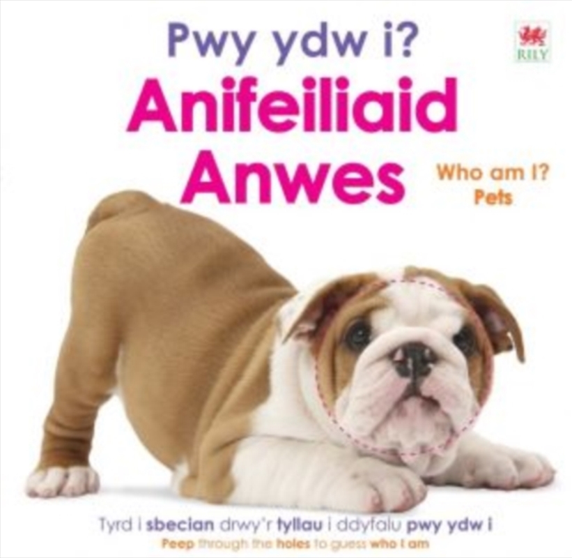 Pwy Ydy I? Anifeiliaid Anwes / Who Am I? Pets/Product Detail/Early Childhood Fiction Books