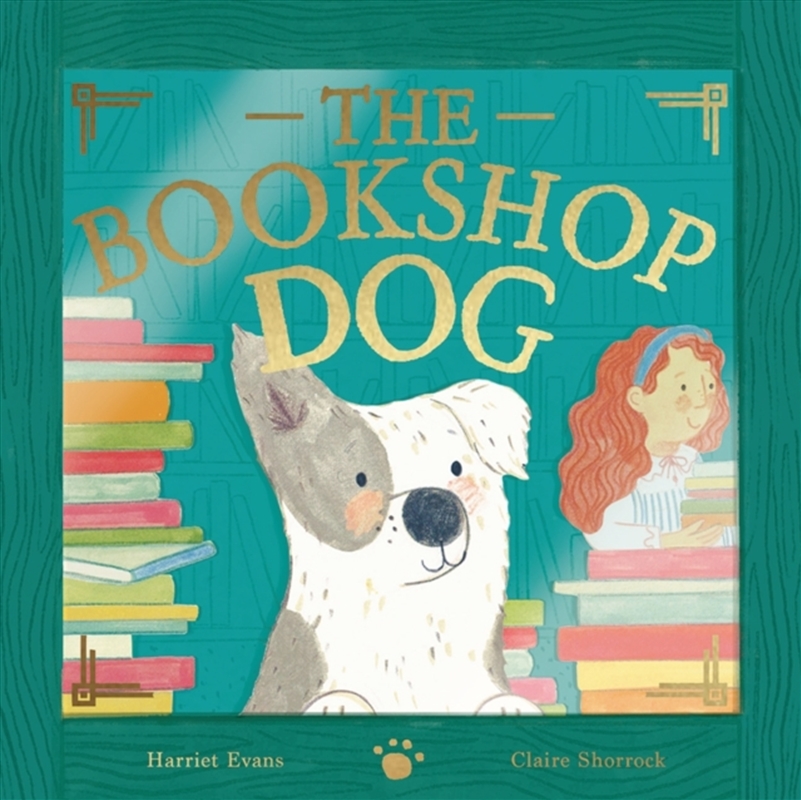 The Bookshop Dog/Product Detail/Early Childhood Fiction Books