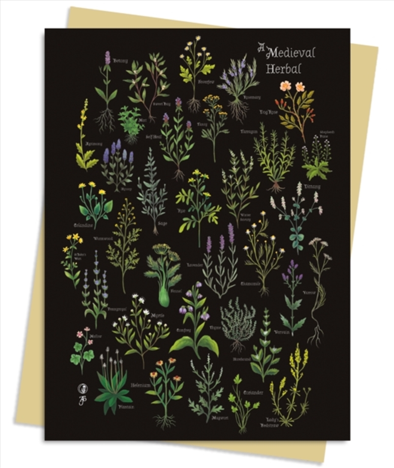Anna Stead: A Medieval Herbal Greeting Card Pack : Pack Of 6/Product Detail/Stationery