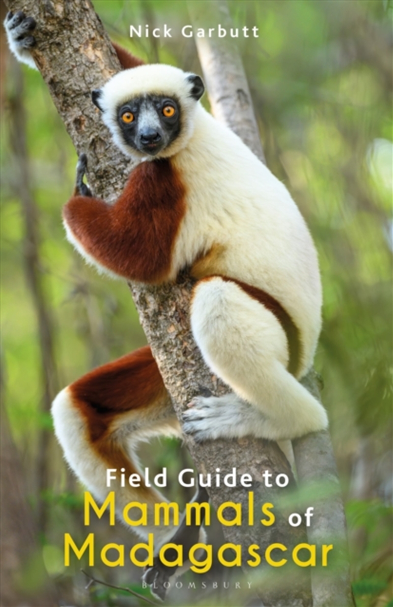 Field Guide To Mammals Of Madagascar/Product Detail/Animals & Nature