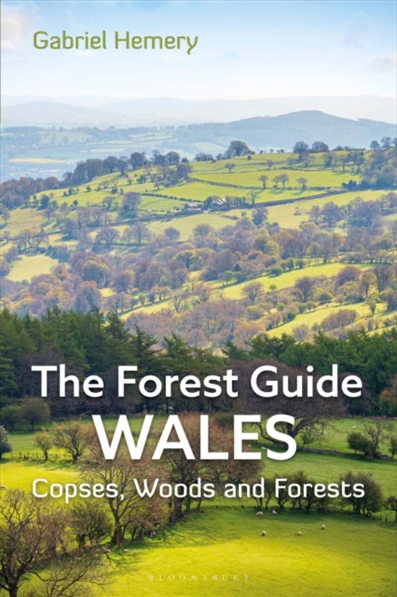 The Forest Guide: Wales : Copses, Woods And Forests Of Wales/Product Detail/Travel & Holidays