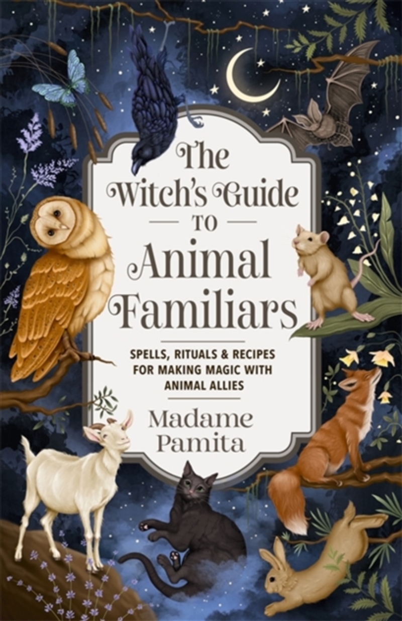 The Witch'S Guide To Animal Familiars : Spells, Rituals & Recipes For Making Magic With Animal Allie/Product Detail/Religion & Beliefs