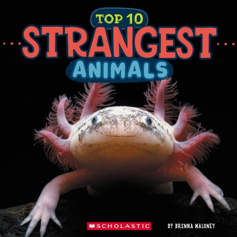 Strangest Animals (Wild World: Top 10)/Product Detail/Childrens