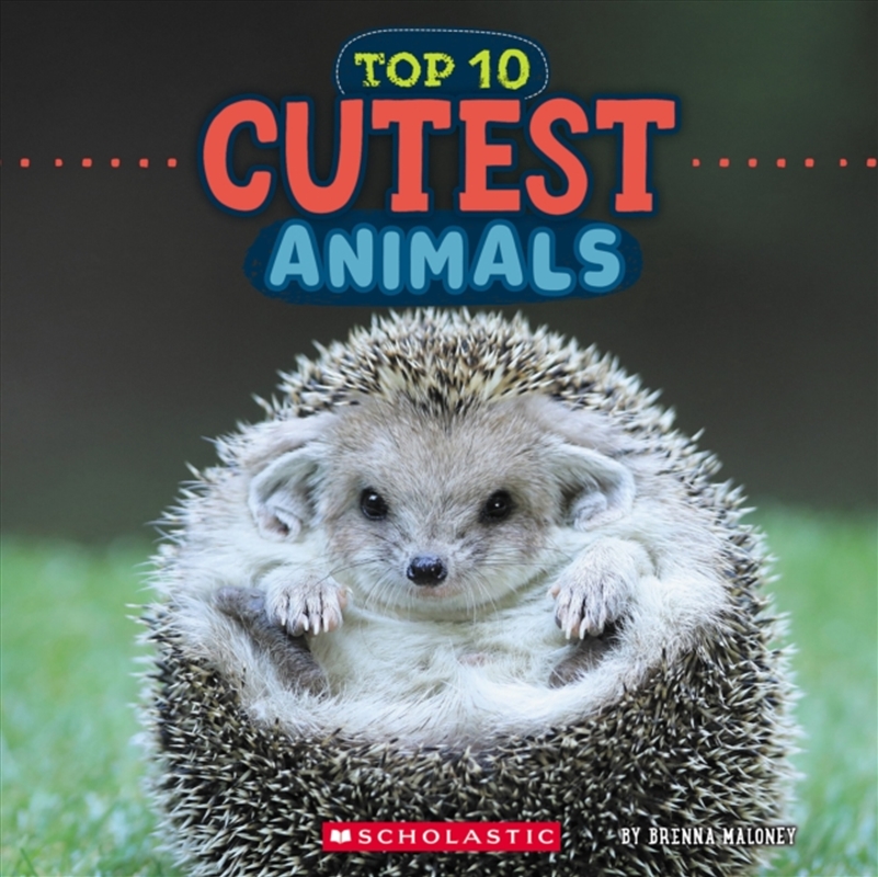 Cutest Animals (Wild World: Top 10)/Product Detail/Childrens