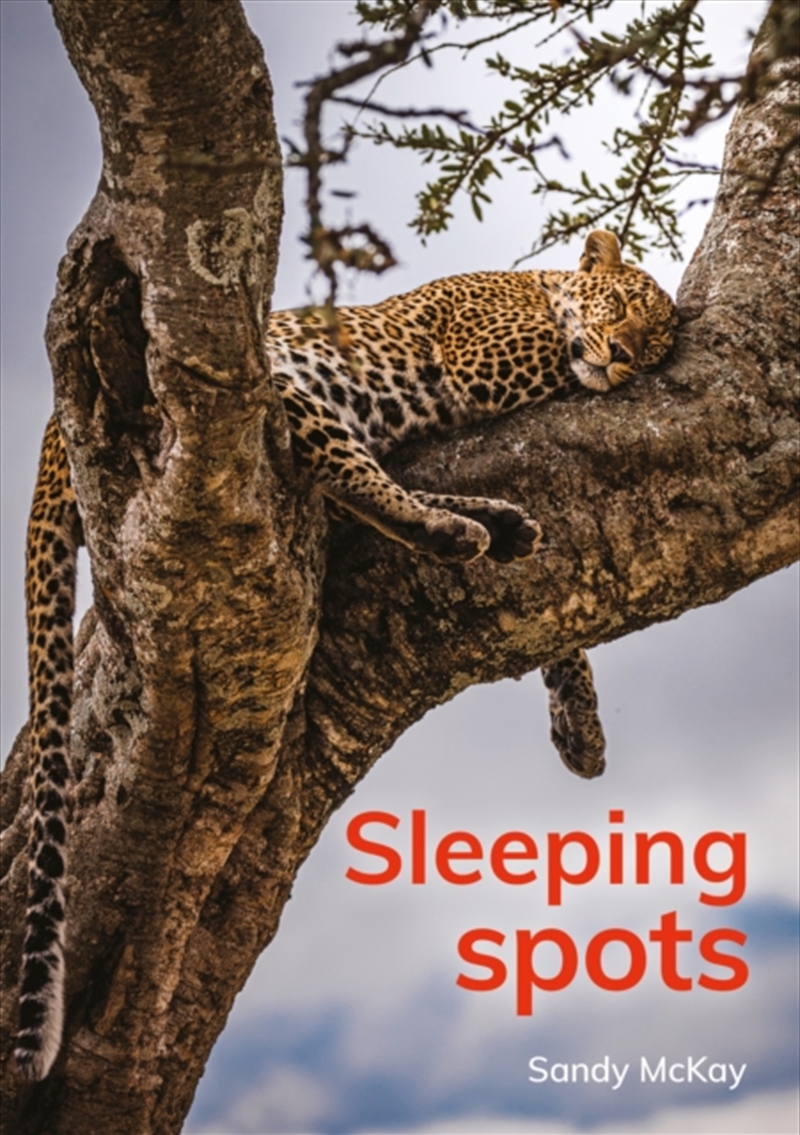 Sleeping Spots/Product Detail/Kids Educational