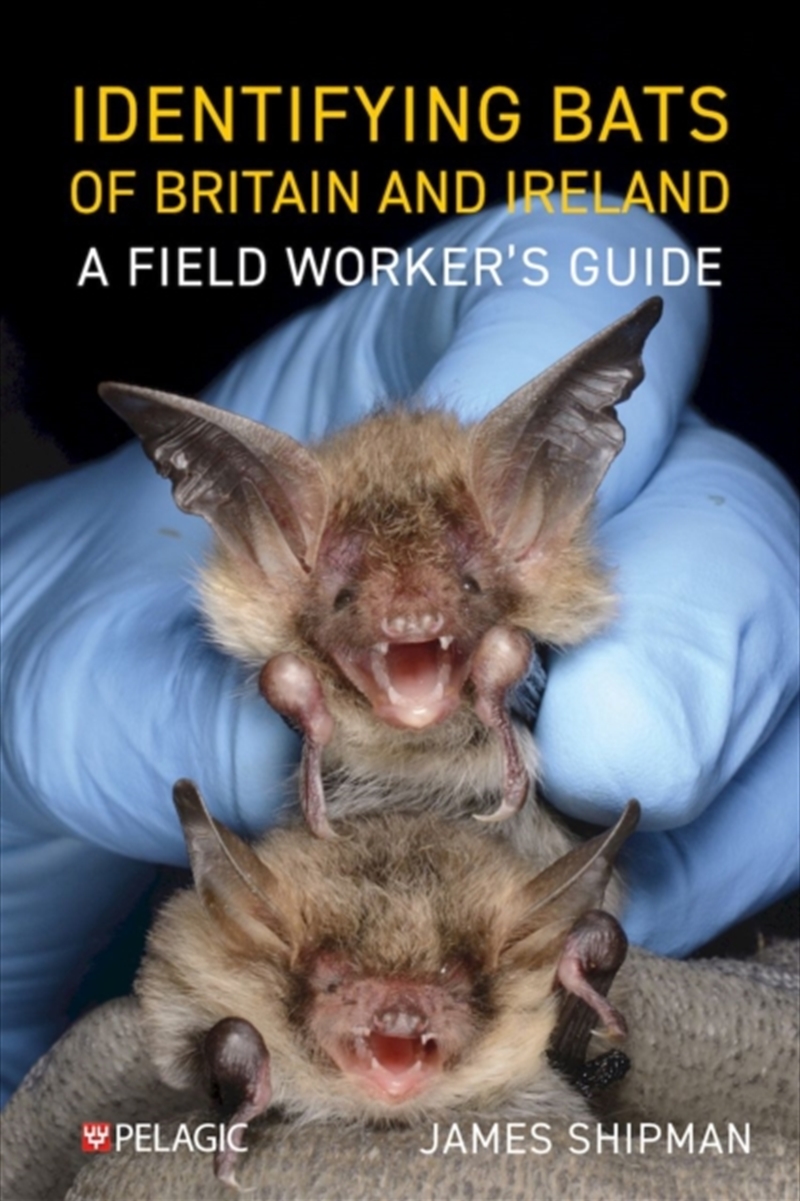 Identifying Bats Of Britain And Ireland : A Field Worker’S Guide/Product Detail/Animals & Nature