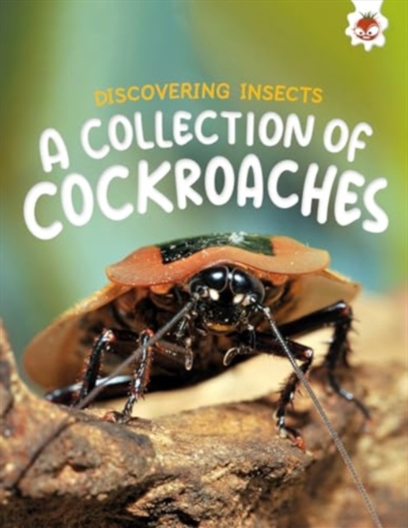 Discovering Insects: A Collection Of Cockroaches/Product Detail/Childrens