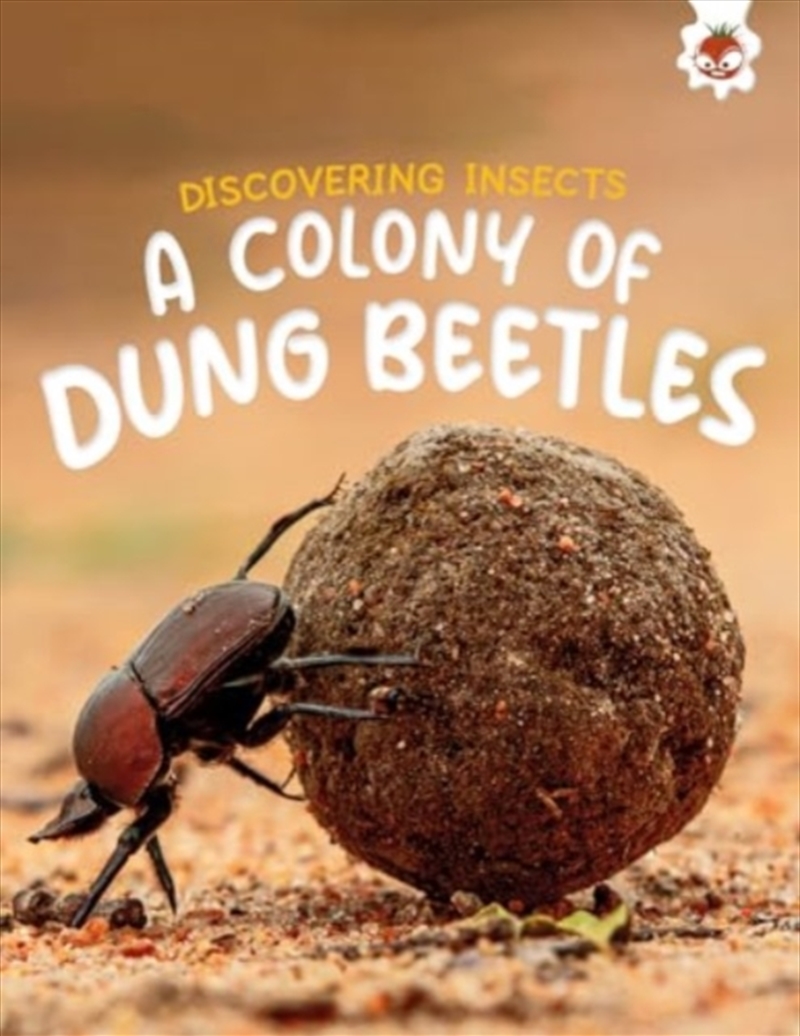 Discovering Insects: A Colony Of Dung Beetles/Product Detail/Childrens