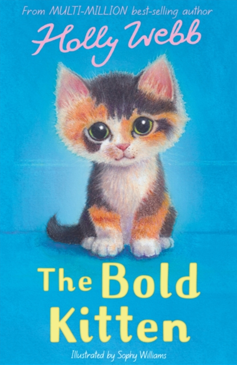 The Bold Kitten/Product Detail/Childrens Fiction Books