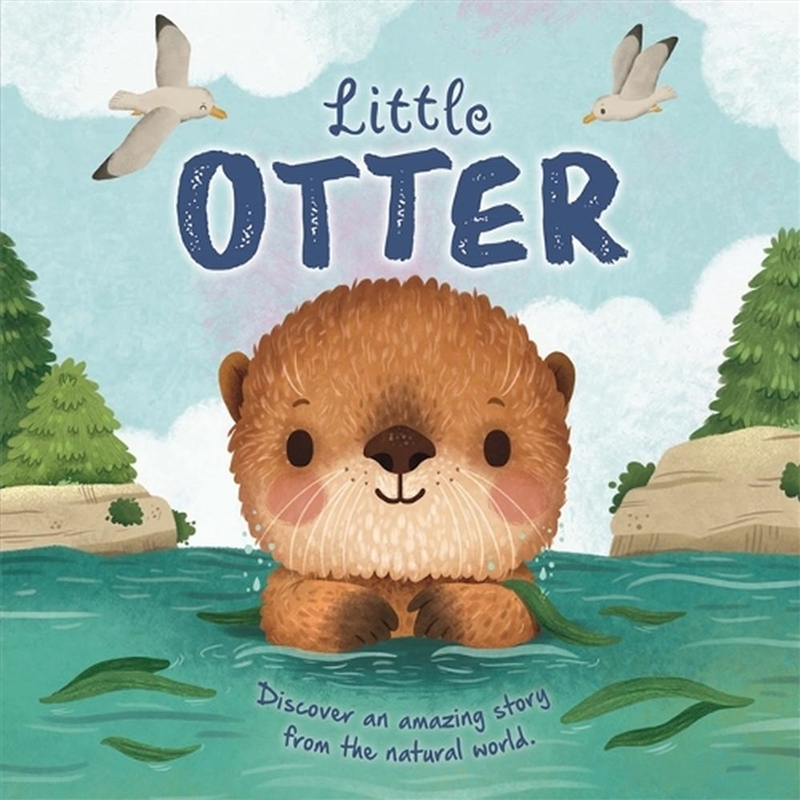 Little Otter/Product Detail/Early Childhood Fiction Books