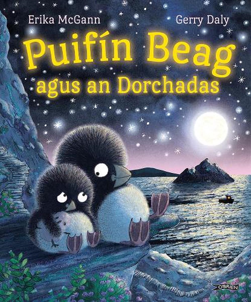 Puifin Beag Agus An Dorchadas/Product Detail/Early Childhood Fiction Books
