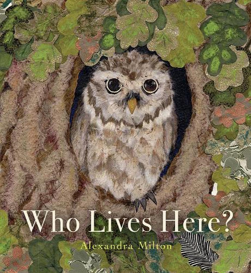 Who Lives Here?/Product Detail/Early Childhood Fiction Books