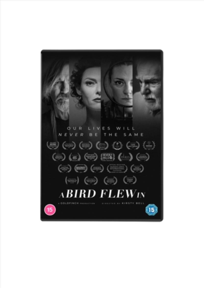 A Bird Flew In (REGION 2)/Product Detail/Drama