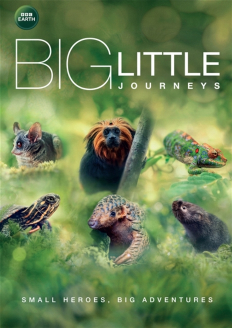 Big Little Journeys (REGION 2)/Product Detail/Documentary