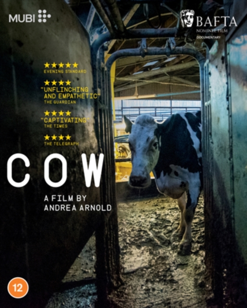 Cow/Product Detail/Documentary
