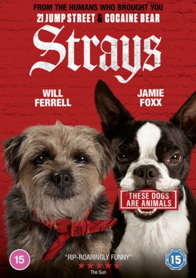 Strays (REGION 2)/Product Detail/Comedy