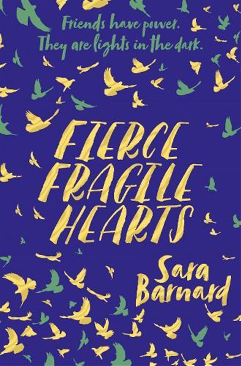Fierce Fragile Hearts/Product Detail/Childrens Fiction Books