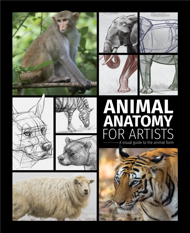 Animal Anatomy For Artists/Product Detail/Crafts & Handiwork