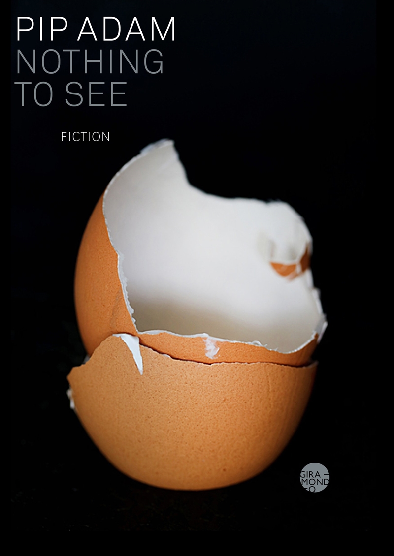 Nothing to See/Product Detail/General Fiction Books