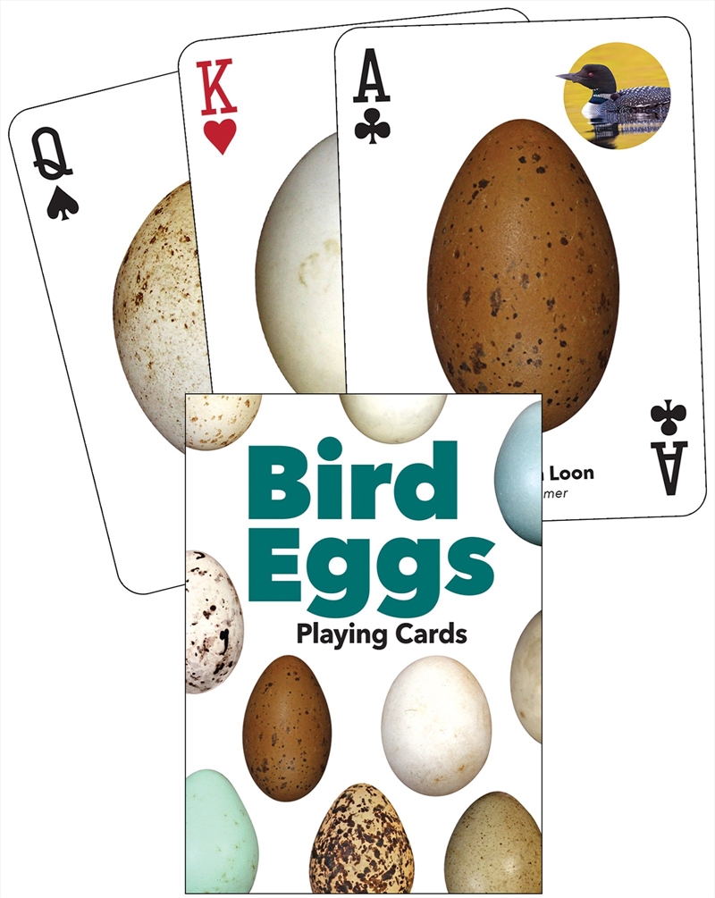 Bird Eggs Playing Cards/Product Detail/Animals & Nature