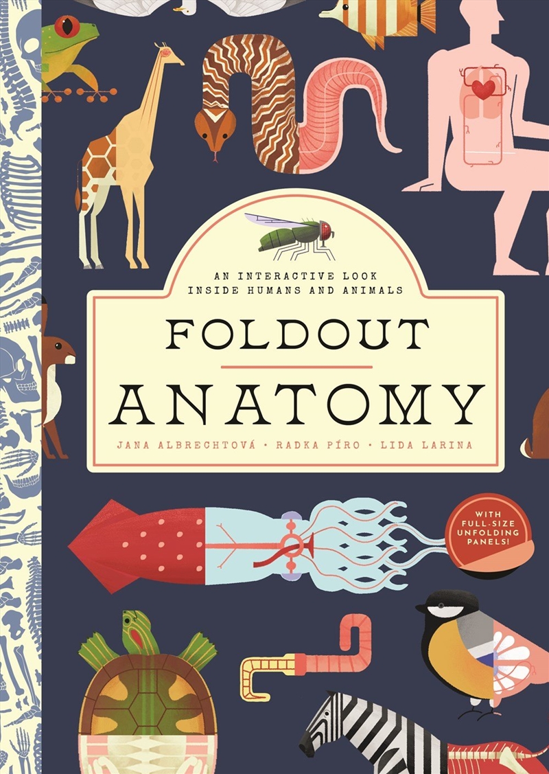 Foldout Anatomy/Product Detail/Childrens