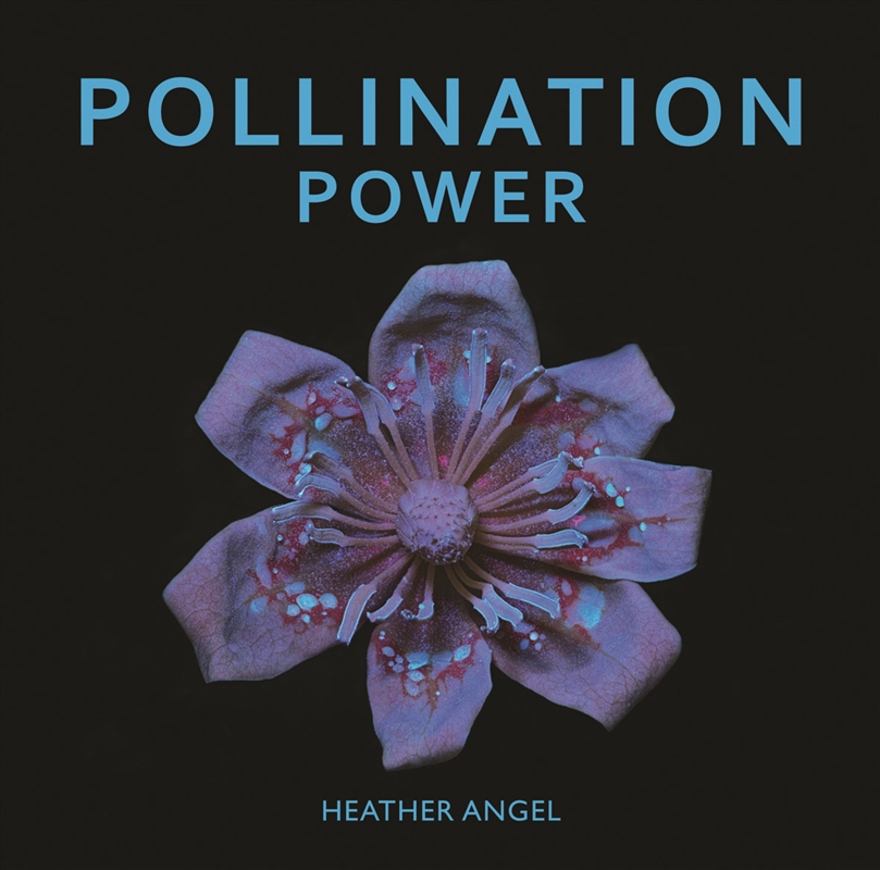Pollination Power/Product Detail/Photography