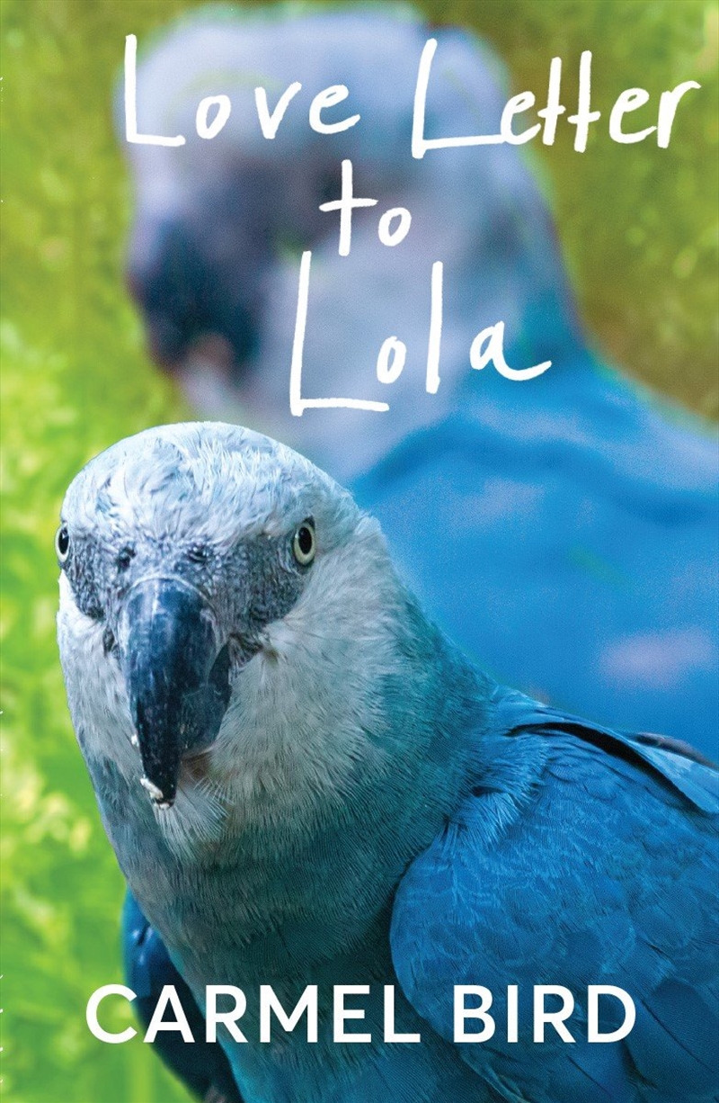 Love Letter to Lola/Product Detail/Modern & Contemporary