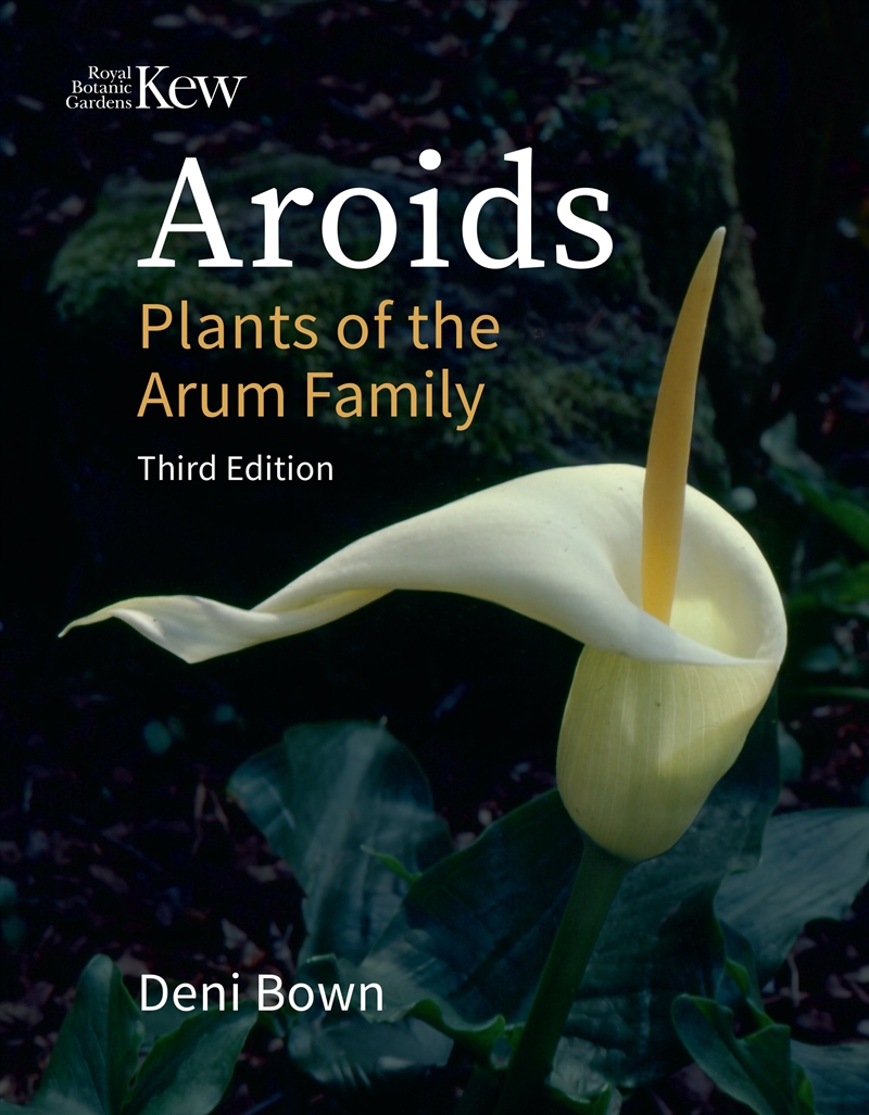Aroids/Product Detail/Gardening
