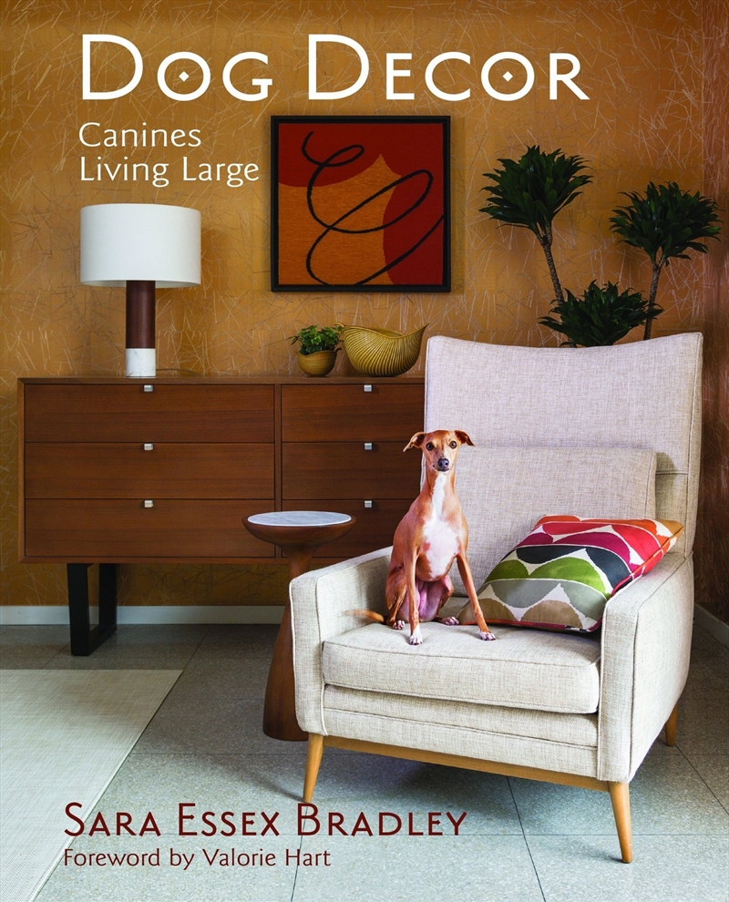 Dog Decor/Product Detail/Photography