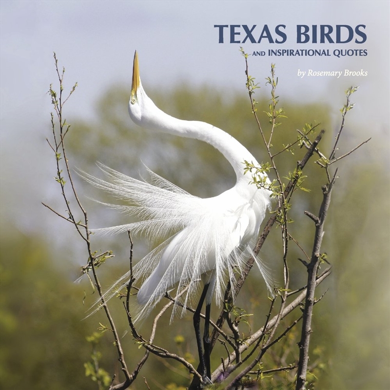 Texas Birds and Inspirational Quotes/Product Detail/Photography