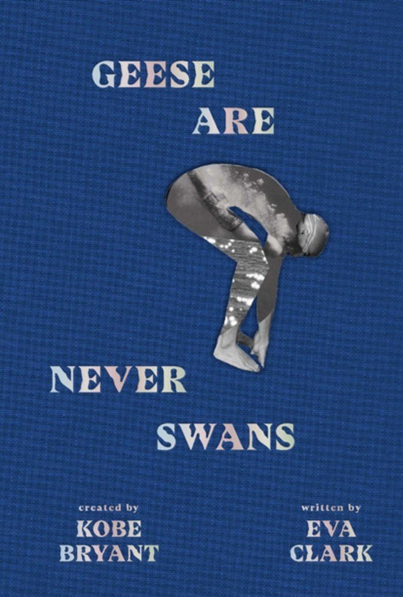 Geese Are Never Swans/Product Detail/Childrens Fiction Books