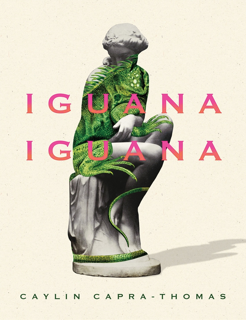 Iguana Iguana/Product Detail/Reading