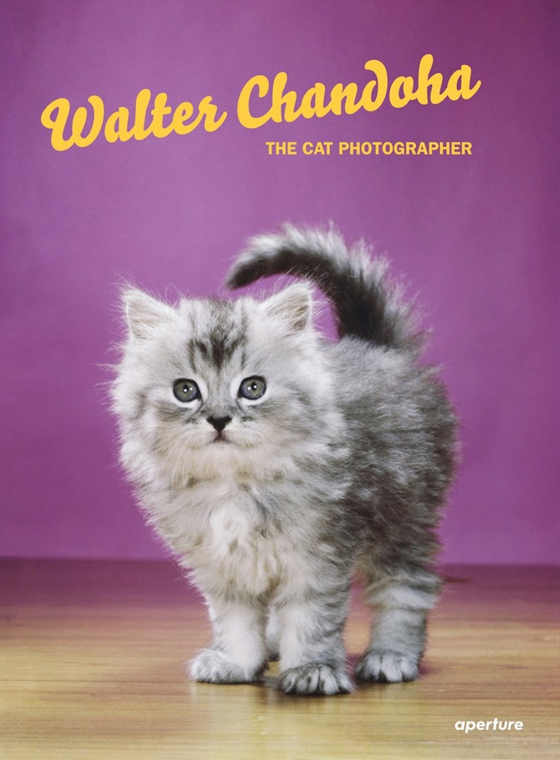 Walter Chandoha: The Cat Photographer/Product Detail/Photography