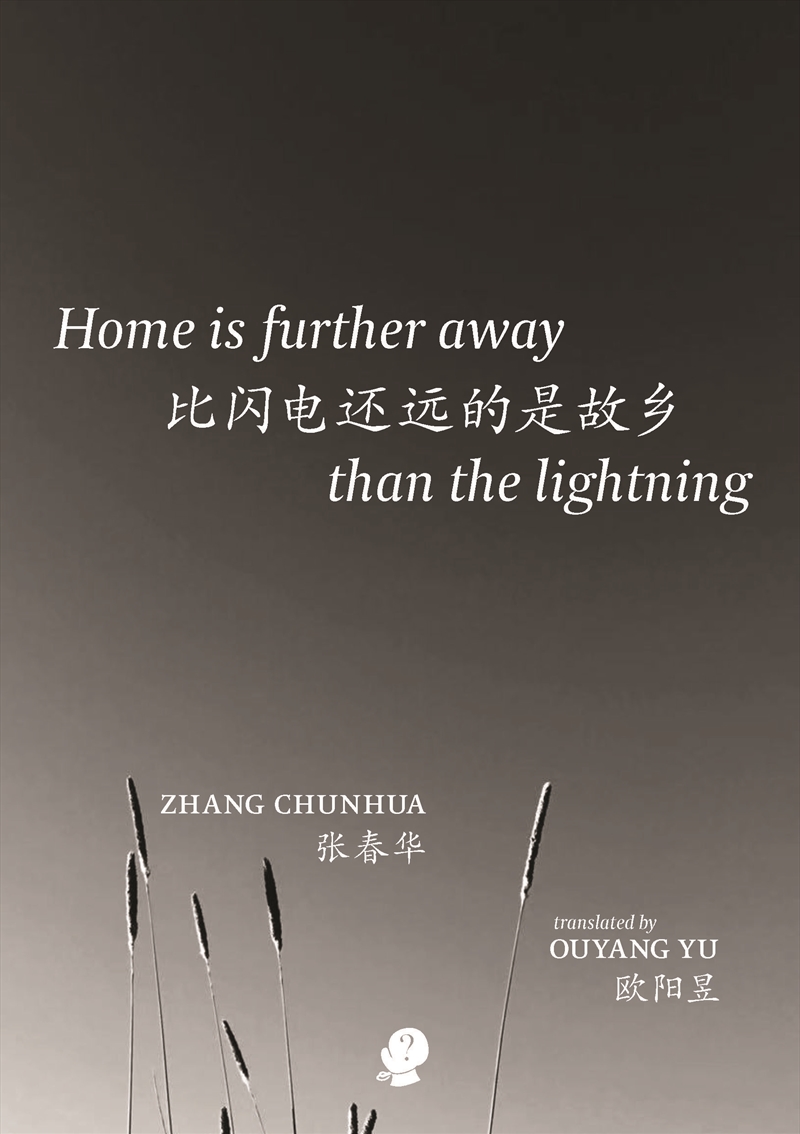 Home Is Further Away than the Lightning/Product Detail/Reading