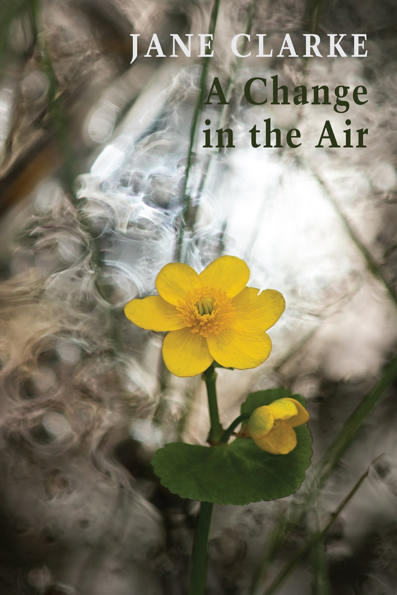 A Change in the Air/Product Detail/Reading