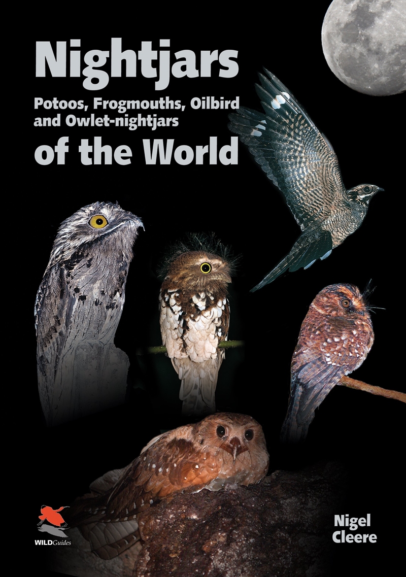 Nightjars, Potoos, Frogmouths, Oilbird, and Owlet-nightjars of the World/Product Detail/Animals & Nature
