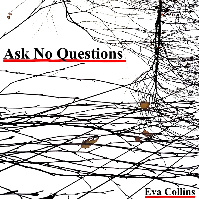 Ask No Questions/Product Detail/Modern & Contemporary