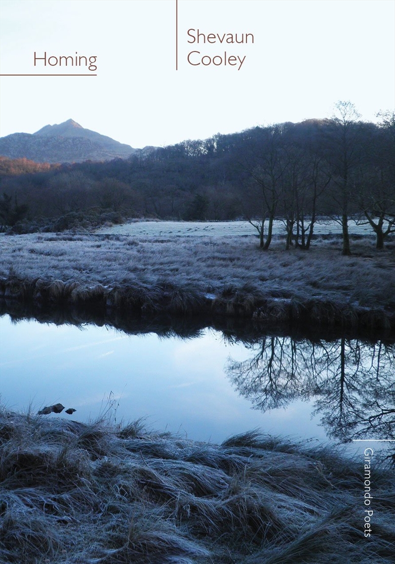 Homing/Product Detail/Reading