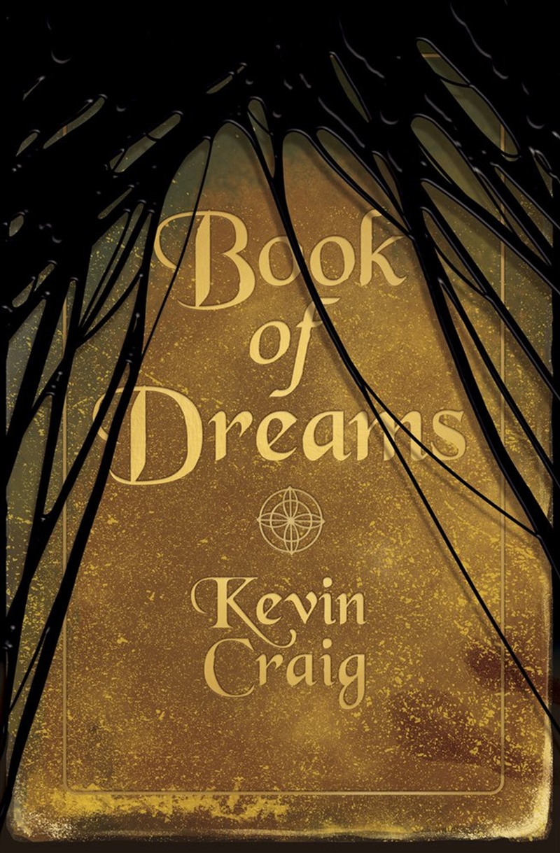 Book of Dreams/Product Detail/Childrens Fiction Books