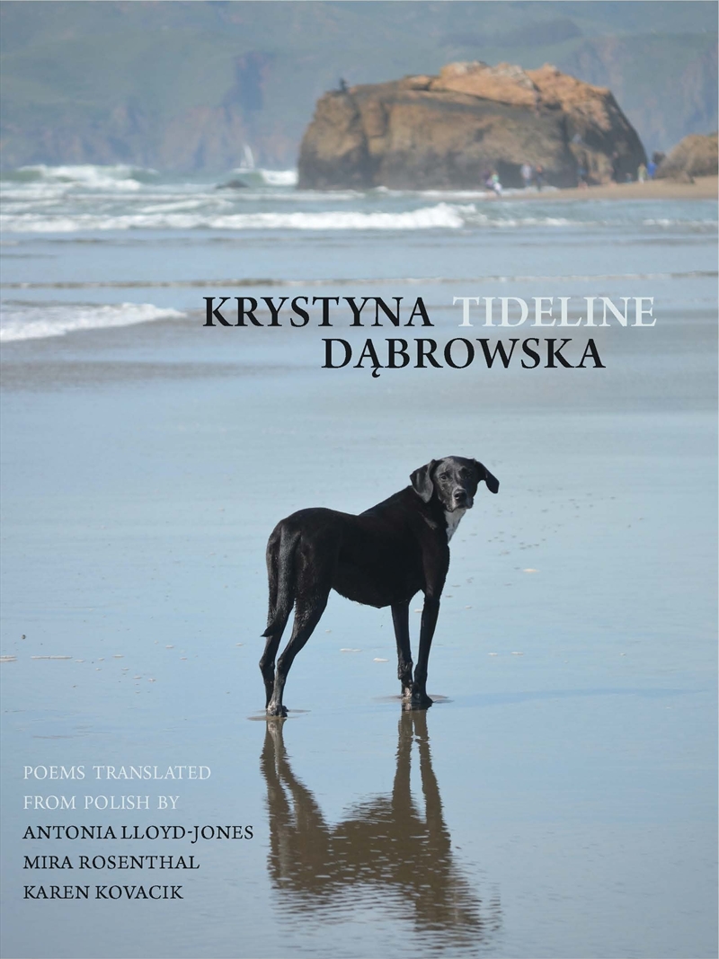 Tideline/Product Detail/Reading