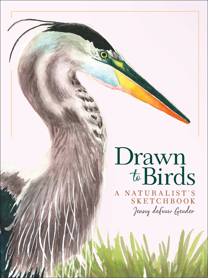 Drawn to Birds/Product Detail/Art