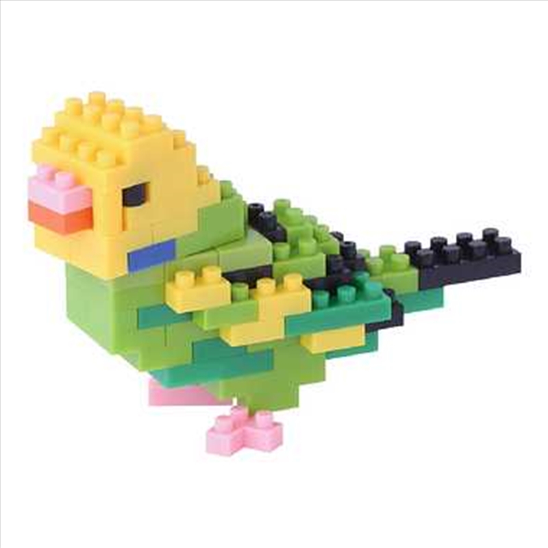 nanoblock - Budgerigar Green Opaline/Product Detail/Toys