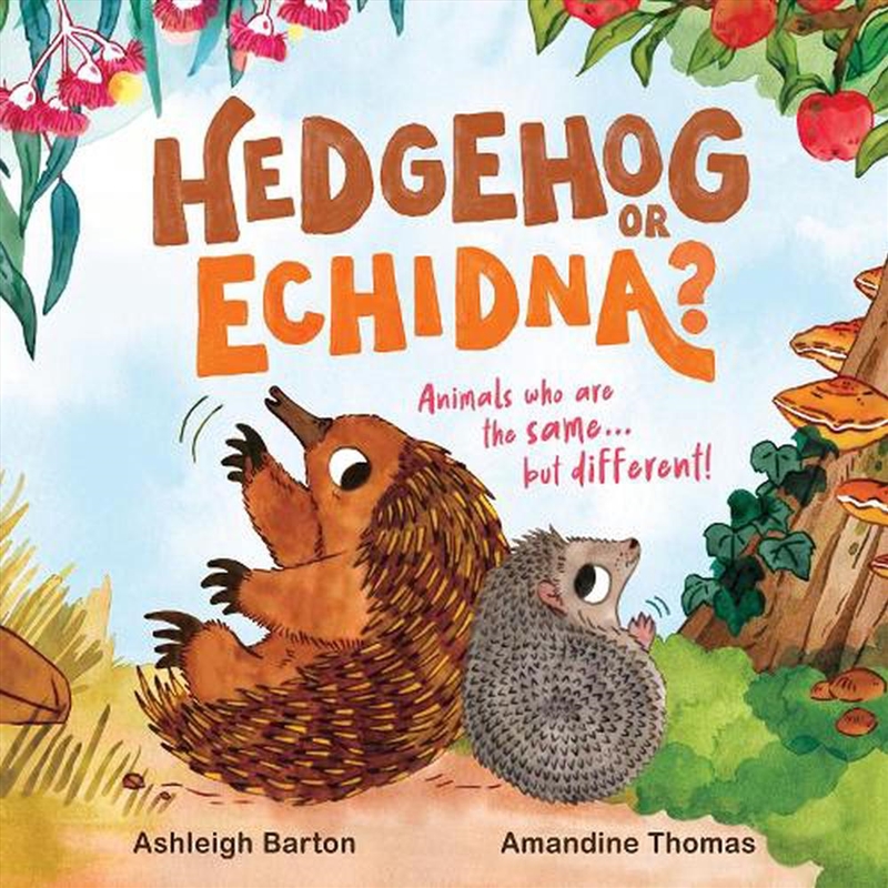 Hedgehog or Echidna?/Product Detail/Early Childhood Fiction Books