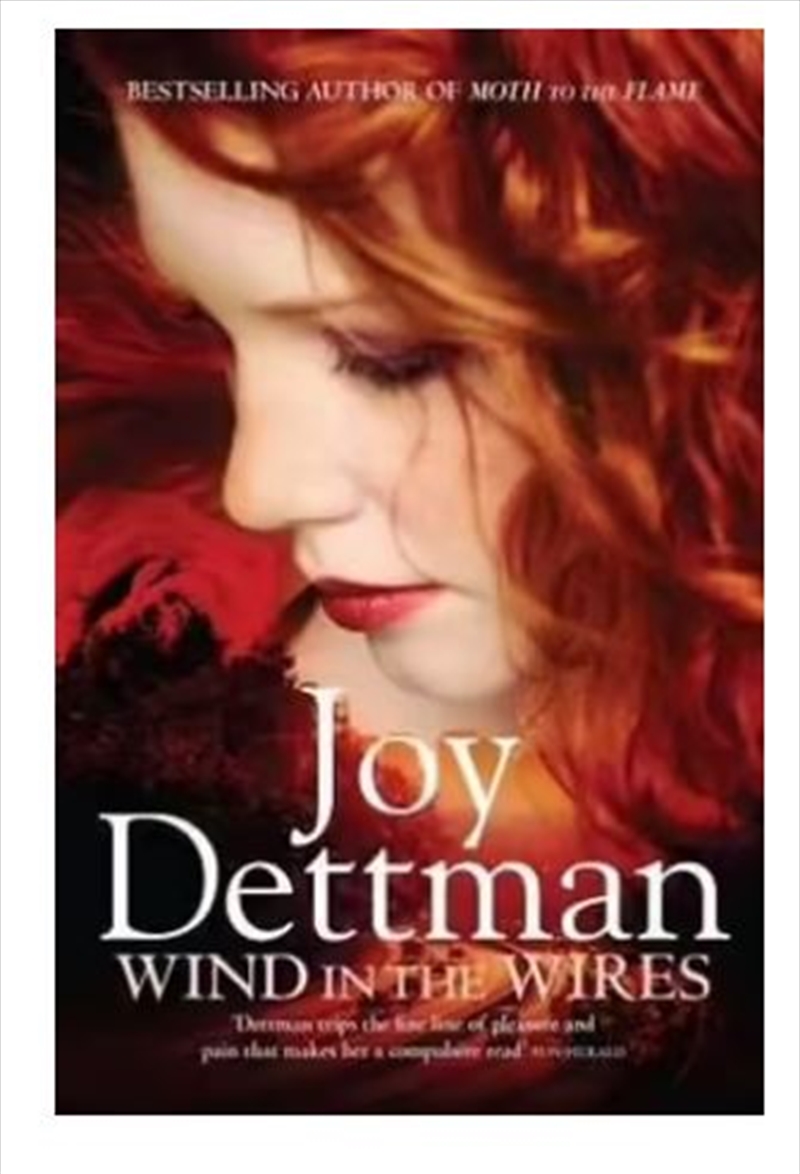 Wind in the Wires: A Woody Creek Novel 4/Product Detail/Modern & Contemporary