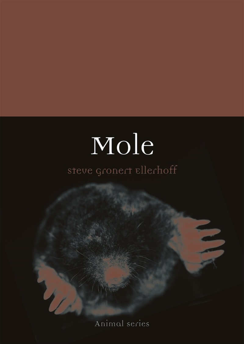 Mole/Product Detail/Animals & Nature