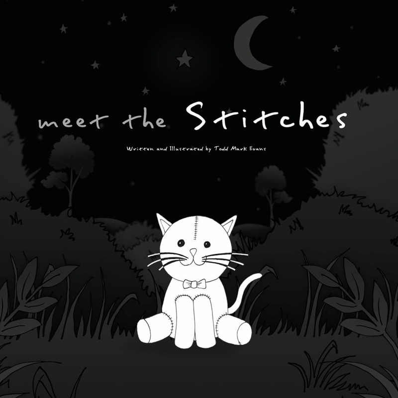 Meet the Stitches/Product Detail/Childrens Fiction Books