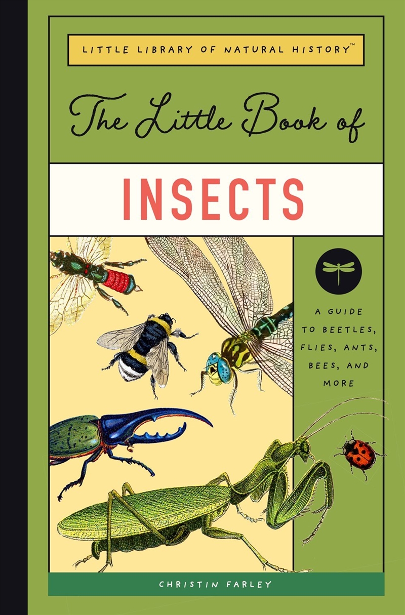 The Little Book of Insects/Product Detail/Childrens